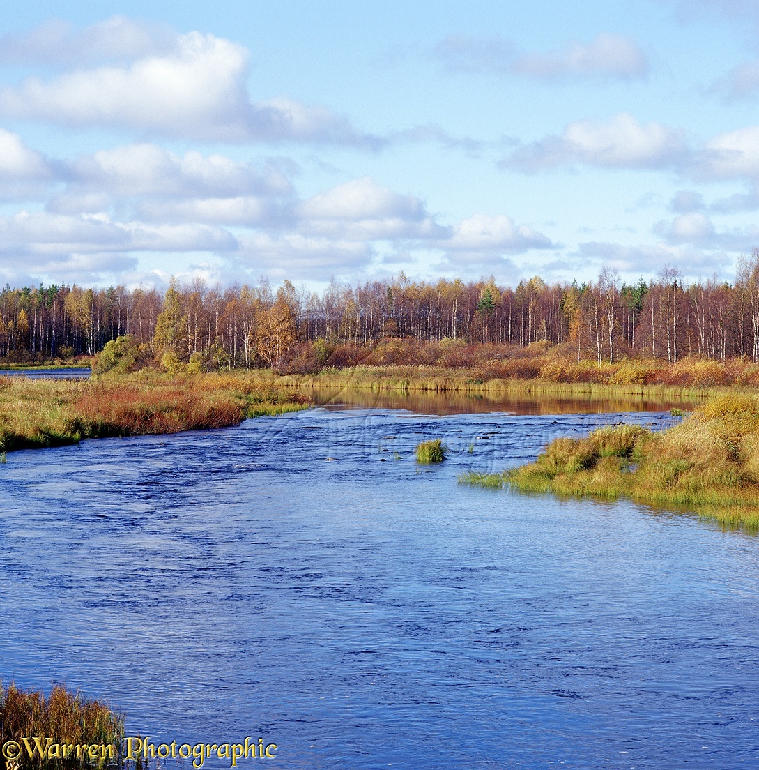Finland river scene photo  WP02861