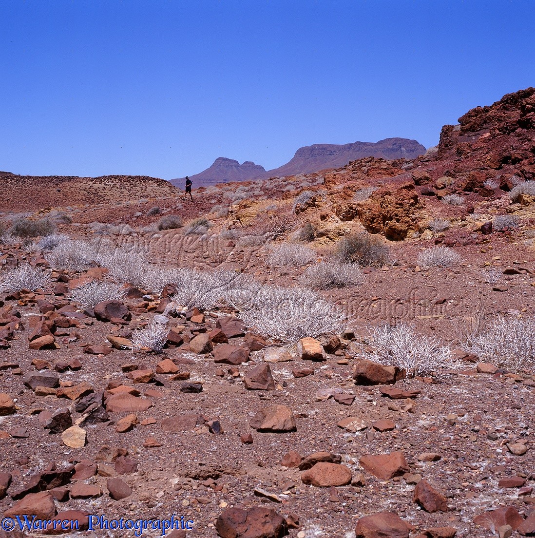 WP07222 Rugged desert scenery. Namibia.