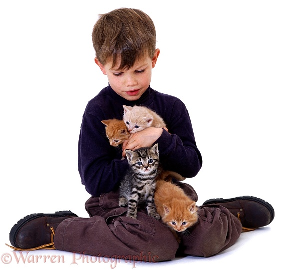 Ben with kittens, white background