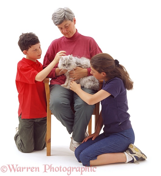 A family loving and stroking an elderly cat, white background