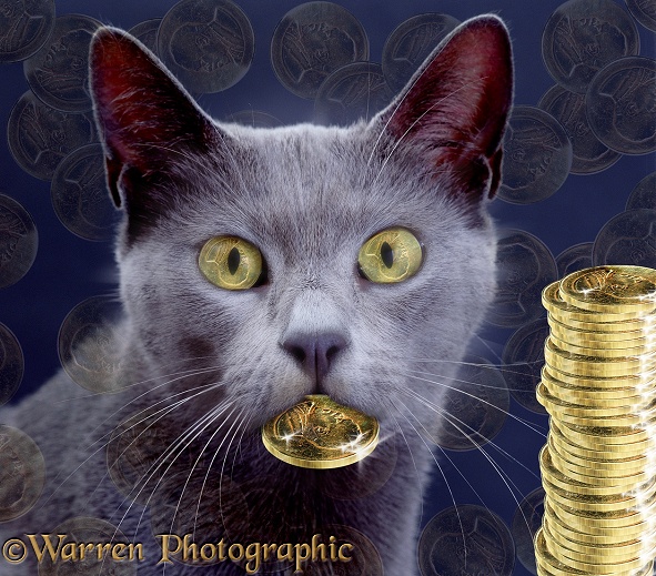 Illustration for a legend of a cat that produced gold coins