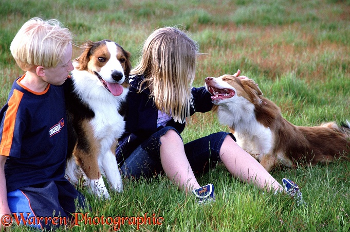 Children with Border Collies