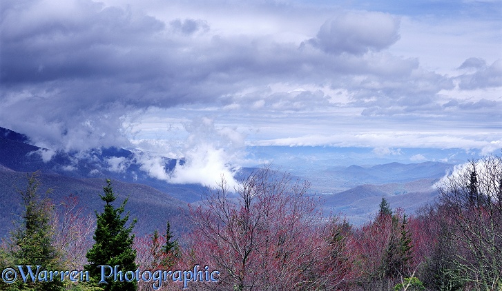 Blue Ridge Mountains with low cloud.  North Carolina, USA