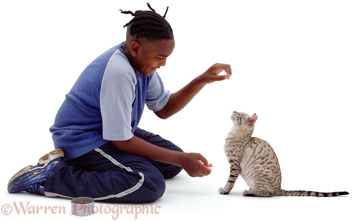 Boy, Laurrie, 11 years old, clicker-training a cat, white background