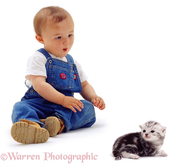 Oriental toddler, James, 15 months old, with silver tabby kitten Butterfly, 3 weeks old, white background