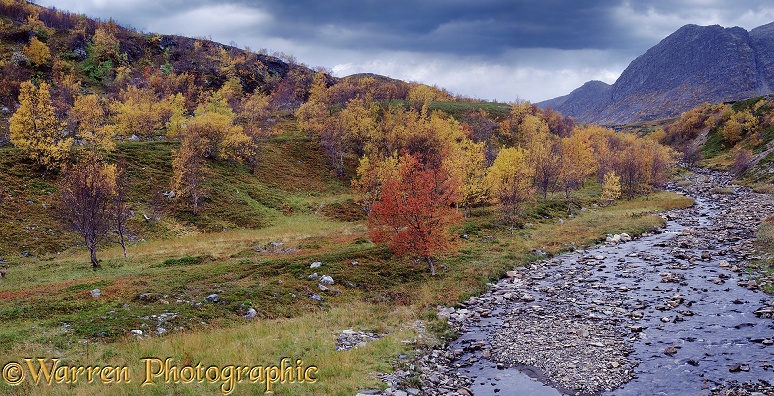 Autumnal scenery.  Norway