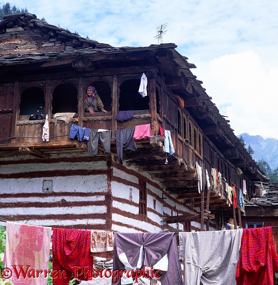 Woman at window in Old Manali.  India