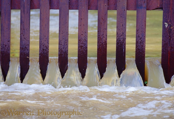 Flood water pouring through a fence.  Surrey, England