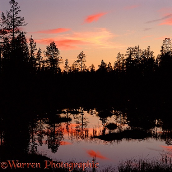 Trees reflected in pond at sunset.  Finland