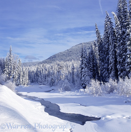 Fresh snow in Manning Park.  British Columbia, Canada