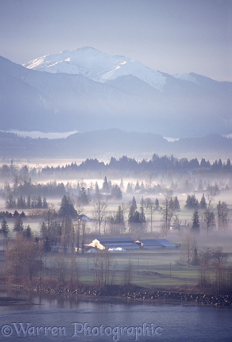 Fraser Valley with mist.  British Columbia, Canada