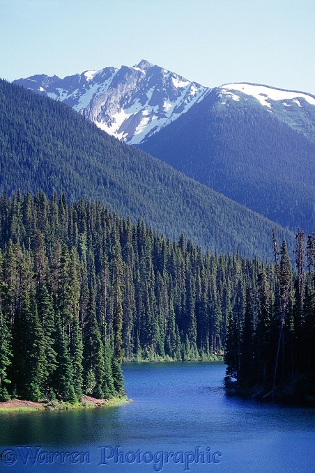 Lightning Lake and mountains, summer.  British Columbia, Canada