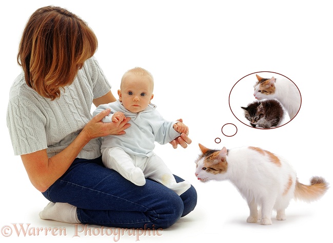 Carolyn with baby Sam and mother cat, Alexandria, who wishes to join in loving the baby, white background