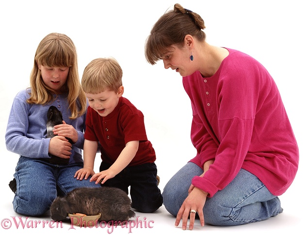 Sade, Joshua and Jane with their pet rabbit and Guinea pig, white background