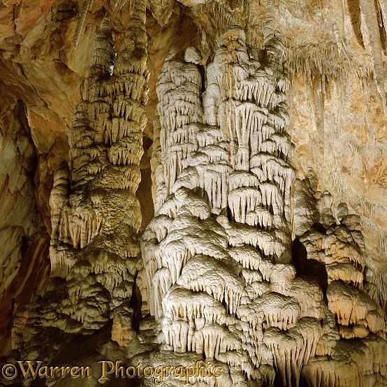 Stalactites and Stalagmites.  Grotte des Grandes Canalettes, France
