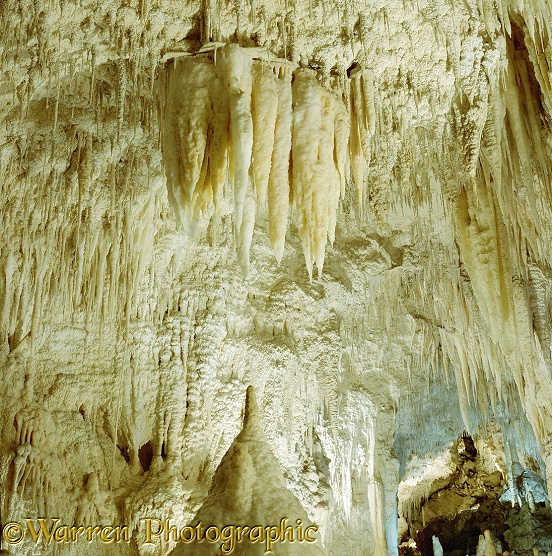 Waitomo cave 1 3D R.  New Zealand