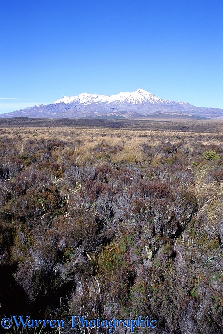 Mt. Ruapehu.  New Zealand