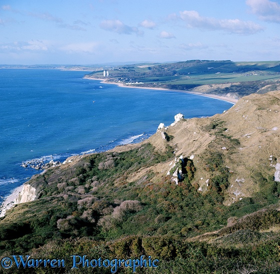 Coastal view with eroded outcrops of hard chalk known as King and Queen Rocks.  Dorset, England