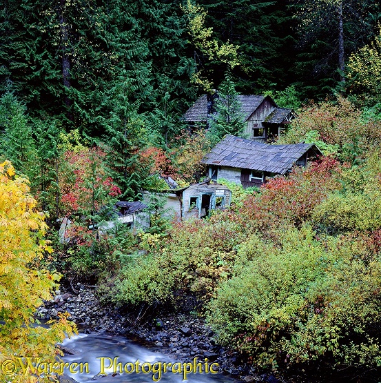 Derelict houses in Manning Park.  British Columbia, Canada