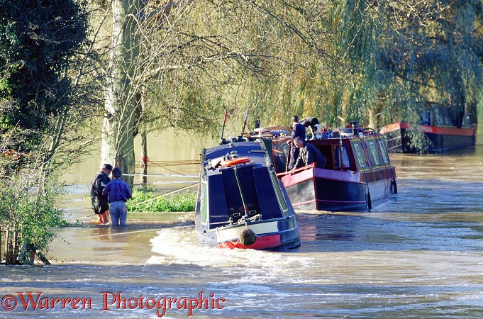 River boat in flood.  Guildford, England
