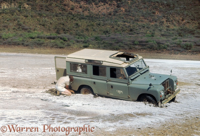 Robert Burton with bogged Land Rover belonging to dutch bird of prey research unit, at north end of Lake Hannington (Bogoria), Kenya.  Kenya