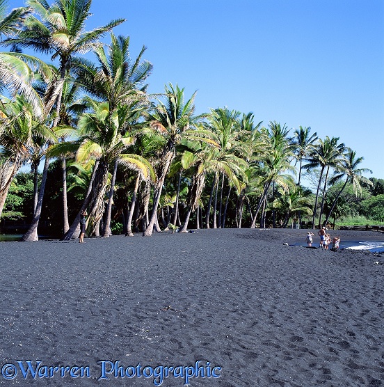 Black sand beach.  Hawaii