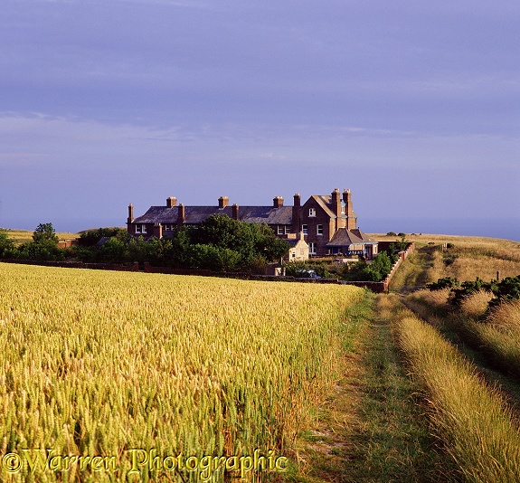 Whitenothe Cottages.  Dorset, England