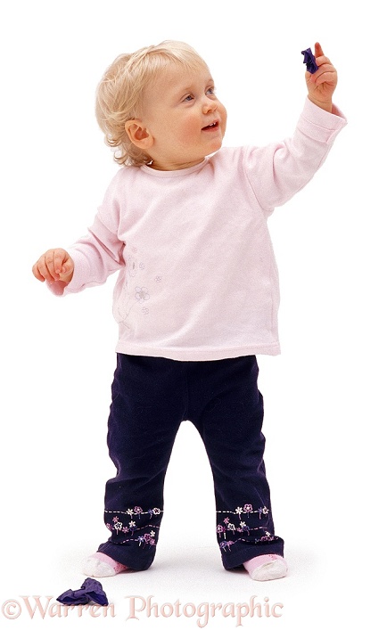 Siena, 13 months old, standing, white background