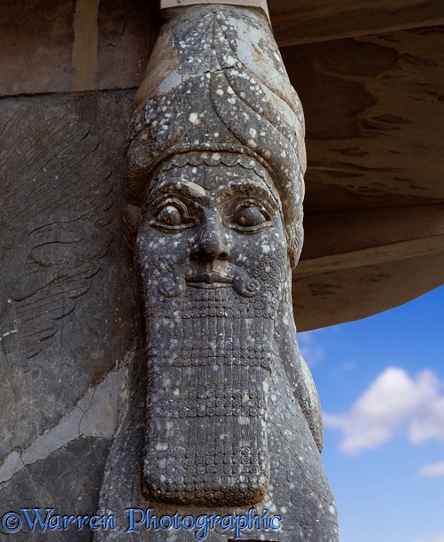 Stone head from king Assur Nassirpal's palace.  Iraq