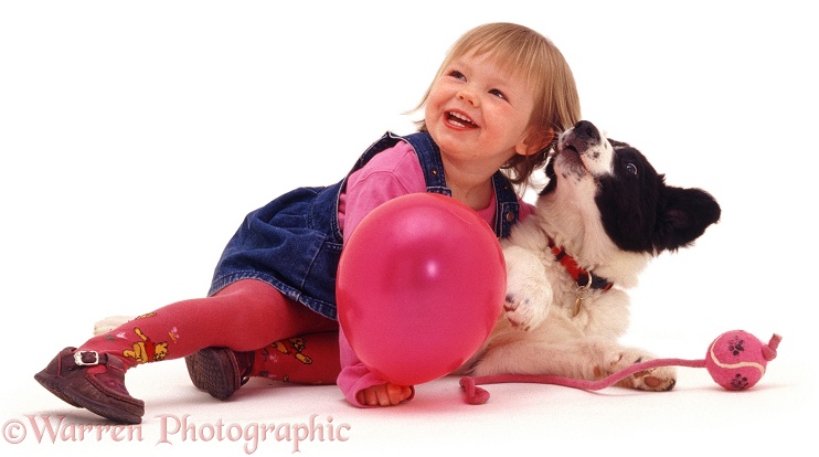 Giselle (2) with Border Collie pup Phoebe, white background