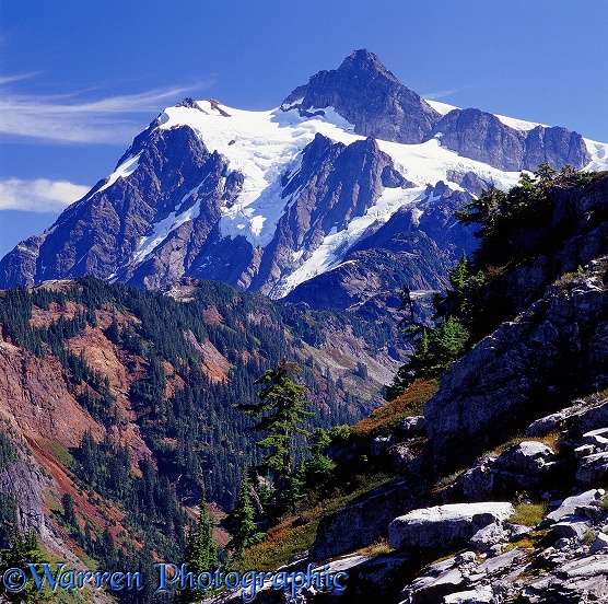 Mt. Shuksan.  Washington State, USA