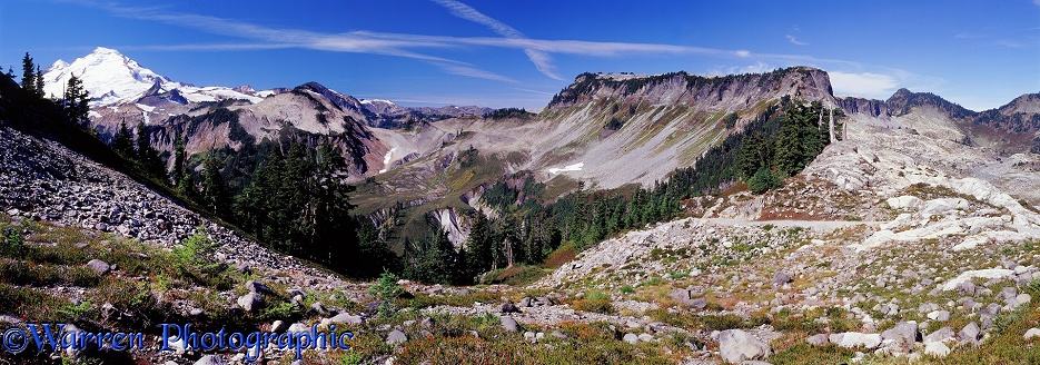 Mt. Baker panorama.  Washington State, USA