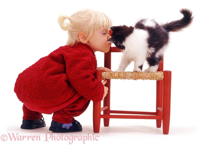 Siena kissing a black-and-white kitten, white background