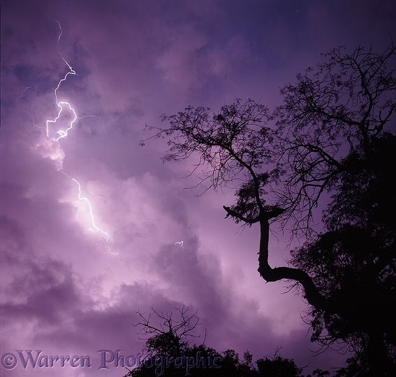 Lightning at Chobe National Park.  Botswana