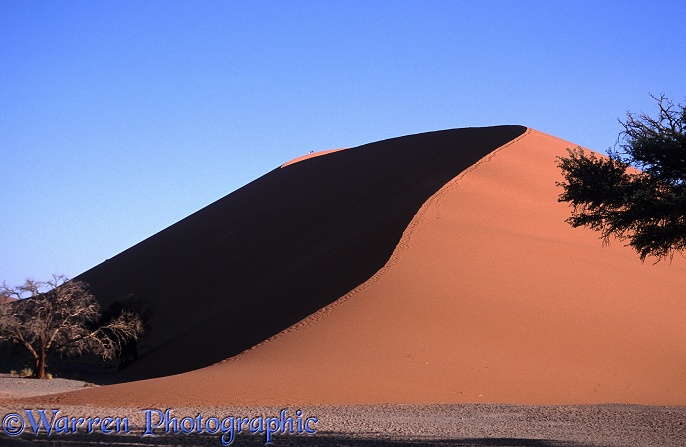 Dune climbing in the Namib Desert.  Namibia