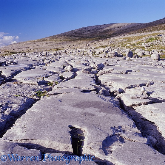Limestone karst pavement.  The Burren, Ireland