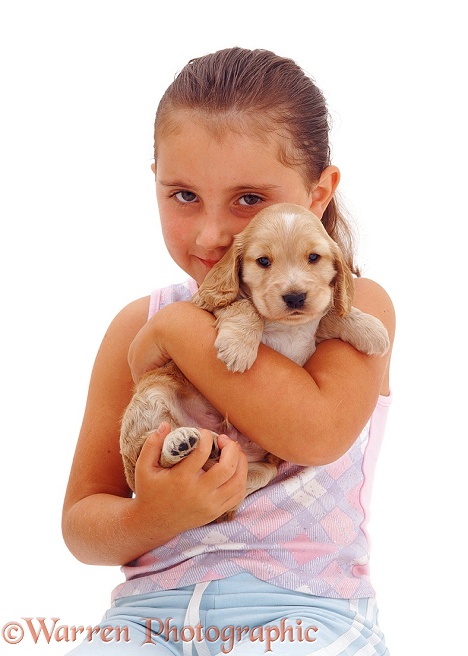 6-year-old Jaye with a Golden Cocker Spaniel puppy, white background