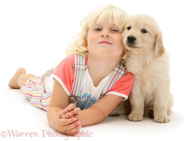 Siena with Golden Retriever pup, white background