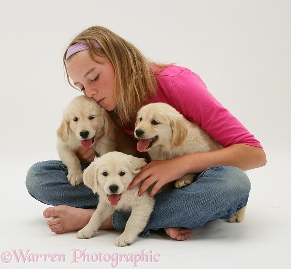 Lille with three golden Retriever Lola pups, white background