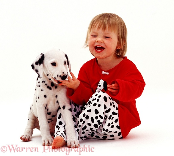 Giselle, 2 years old, with Dalmatian puppy, white background