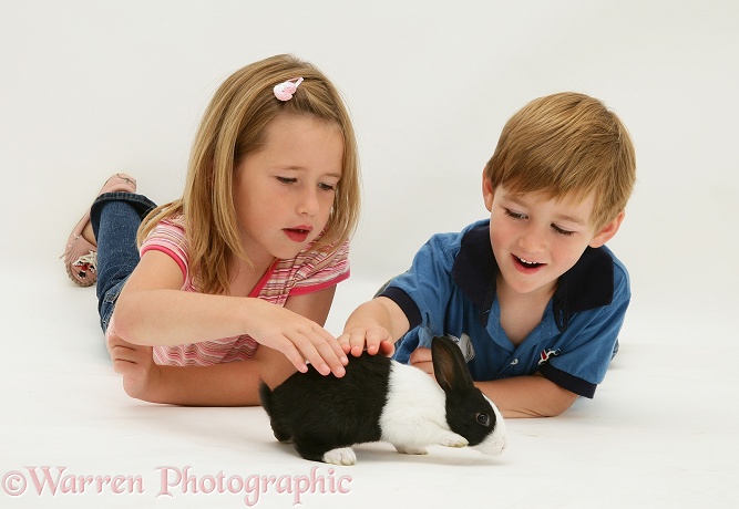 Madison and Jack with a young Dutch rabbit, white background