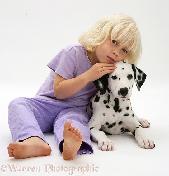 Siena and Dalmatian pup, white background