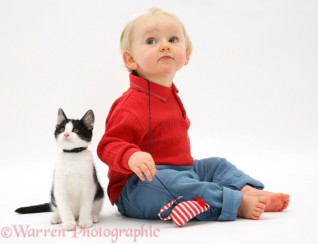 Toddler with black-and-white kitten and catnip mouse, white background