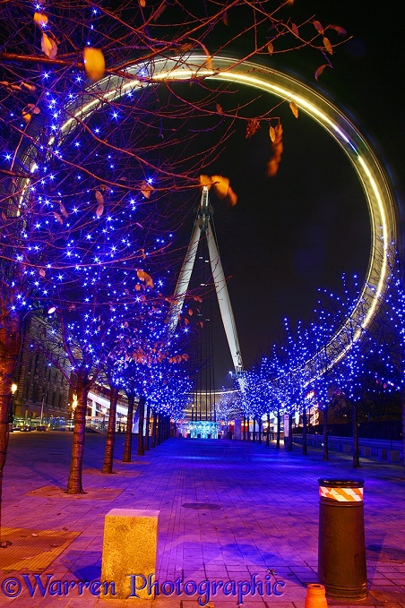 The Millennium Wheel at night.  London, England