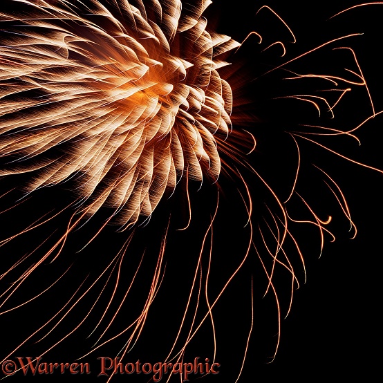 Firework