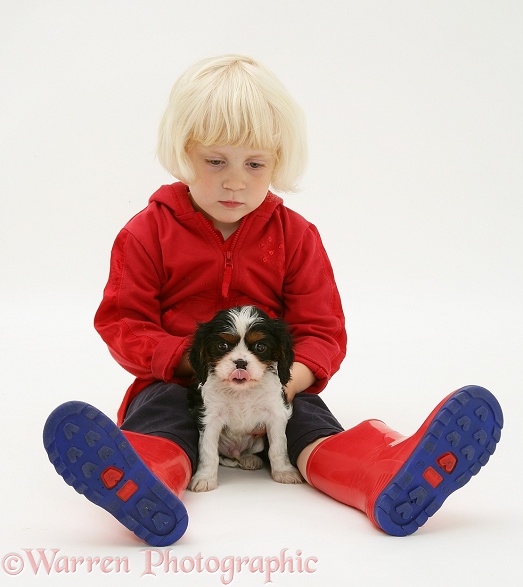 Siena with Cavalier King Charles Spaniel pup and welly boots, white background