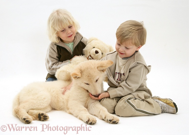 Siena and Matthew with white German Shepherd Dog puppy and teddy, white background
