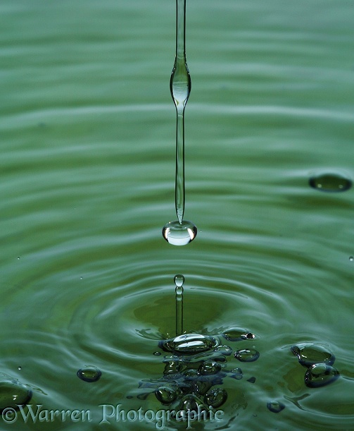 A thin stream breaks up into drops before plunging into the water surface