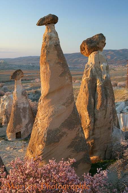 Fairy chimneys.  Kapadokia, Turkey