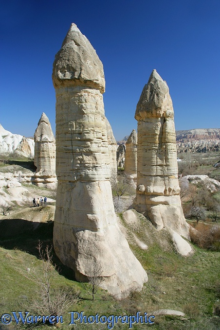 Fairy chimneys.  Kapadokia, Turkey